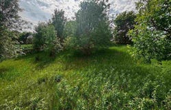 State Hwy 22, St. Peter, MN 56082