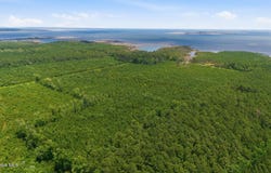 Upper Neck Road, Bayboro, NC 28515