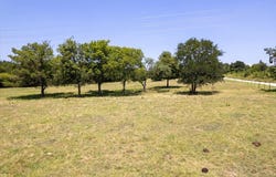 (10 Acres) Shadow Trail, Sherman, TX 75092