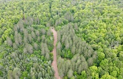 DAVID RD lot: 2, Gleason, WI 54435