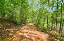 Motlow Creek Road, Campobello, SC 29322