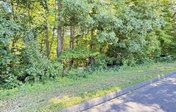 Beaver Dam Road, Killingworth, CT 06419