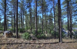 109 Cabin Creek Drive, Durango, CO 81301