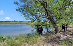 10600 County Road 210, Bertram, TX 78605