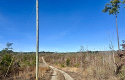 3438 Attala Rd 3027, Kosciusko, MS 39090