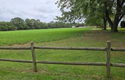 WALNUT SHADE Road, MAGNOLIA, DE 19962