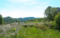 Back Valley Rd, Sneedville, TN 37869