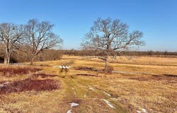 Sugar Hill Rd., Texarkana, AR 71854
