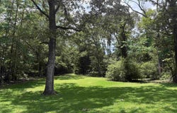 8850 HIGHWAY 155, MONTEVALLO, AL 35115
