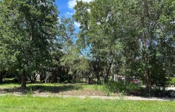 VENTNOR Avenue, TARPON SPRINGS, FL 34689