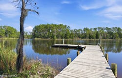931 Schrams Beach Road, Belhaven, NC 27810
