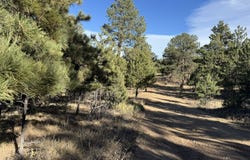 Stephens Dr lot: 35, Westcliffe, CO 81252