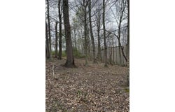 5483 Subtle Road, Edmonton, KY 42129