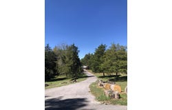 1321 Wildcat Road, Lawrenceburg, KY 40342