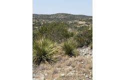 SD 45400, Rocksprings, TX 78880