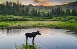 421 Deer Creek Rd lot: Clarendon Hot Springs Ranch, Hailey, ID 83333