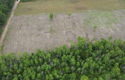 Soop Rd., Maurice, LA 70555