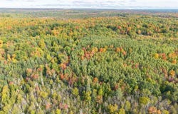 TBD Co Rd CN Road, Ishpeming, MI 49849