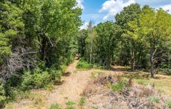 161 E Hopewell Rd, Cord, AR 72524
