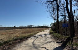 3B MAPLE BRIDGE RD, DILLWYN, VA 23936