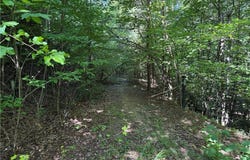 Casey Mountain Road lot: 222, Purlear, NC 28665