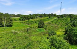 2810 County Road 2390, Mountain View, MO 65548