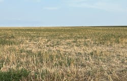 10 PP Rd, Seibert, CO 80834
