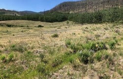 1875 Willow Park Drive, South Fork, CO 81154