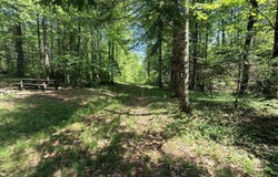 Ames Road, Lee, ME 04455