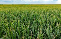 280th Ave, Palmer, IA 50563