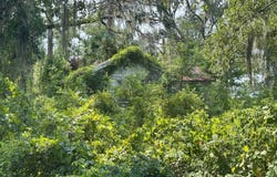 1204 2ND ST NW, Jasper, FL 32052
