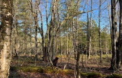 Lafaver Rd, Hermon, NY 13652