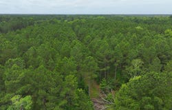 4654 Calhoun 22, Hampton, AR 71744