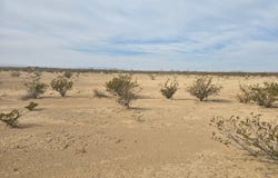 15470 Agatha Rd, Alpine, TX 79830
