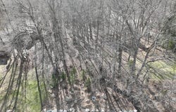 Hawthorn Trail, Walker, MN 56484