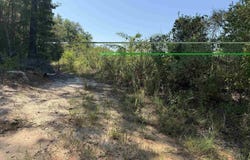 HORACE WILLIAMS ROAD, Chatham, LA 71226
