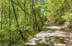 LOT 18 Cub TRL, Cherry Log, GA 30522