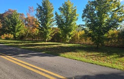 PARCEL A N 72ND AVENUE N, HART, MI 49420