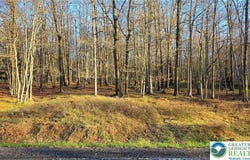 Mountain Road, Penn Forest Twp, PA 18210