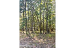 4811 Holcomb-sweethome Road, Holcomb, MS 38940