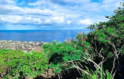 MILOLII RD, Captain Cook, HI 96704