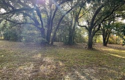 Turner Street, Bay Saint Louis, MS 39520