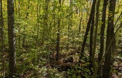 County Road B, Hunter, WI 54843