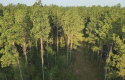 1178 Tolar Road, Oak Vale, MS 39656