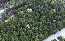 Clements Ferry Road, Wando, SC 29492
