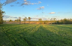 2007 Walnut Grove Road, Carlisle, KY 40311