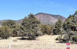 7223 Daisy Drive, Williams, AZ 86046