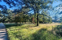 Hidden Valley Drive, Tool, TX 75143