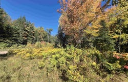 8930 Sand Lake Road, Au Train, MI 49806