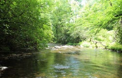 Slate Stone lot: 5,6, Hayesville, NC 28904